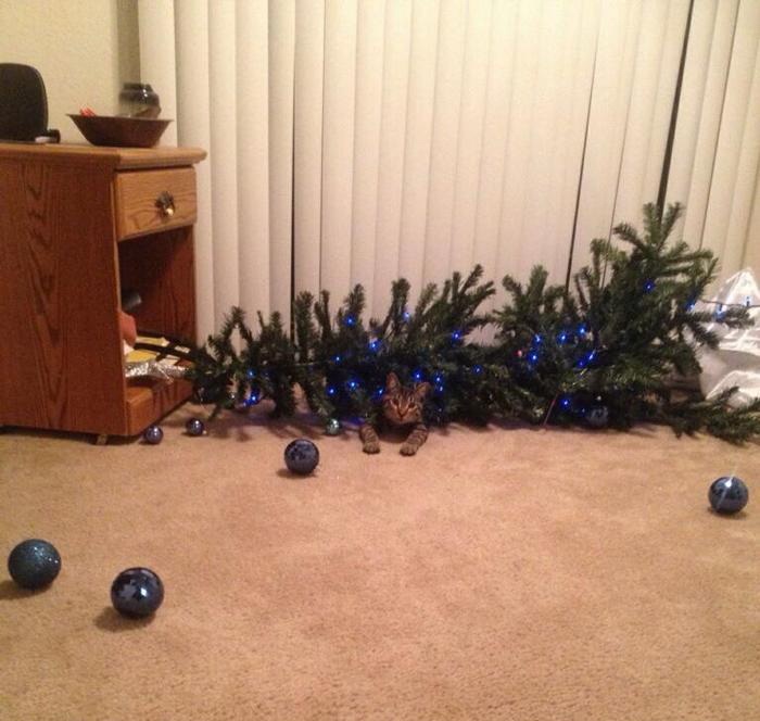 ¿Quién ha tirado el árbol de Navidad?