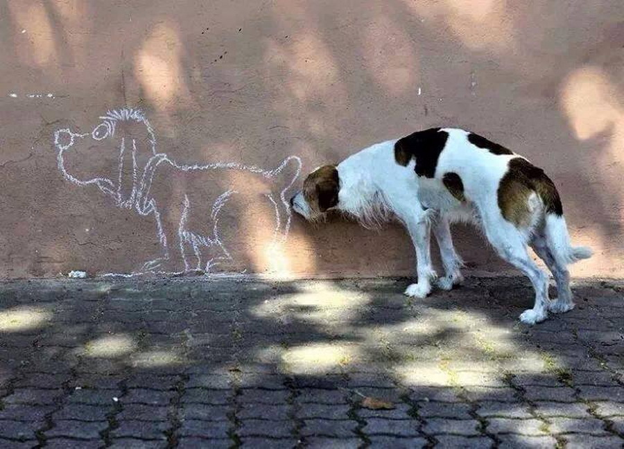 Perro oliendo el culo de otro perro… dibujado
