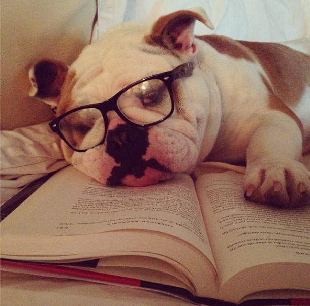 Quedarse dormido leyendo