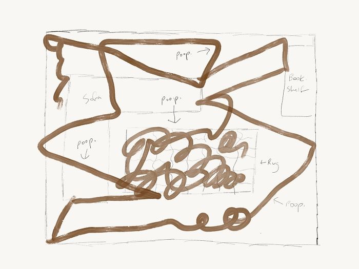 Roomba-cagada
