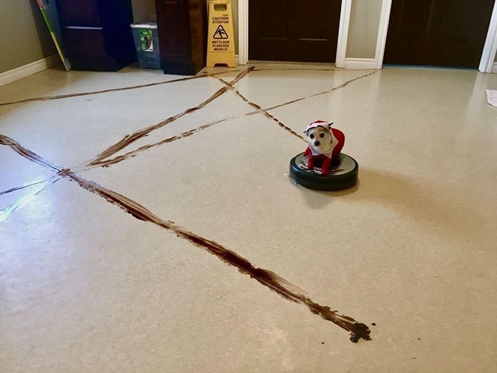 Roomba-cagada