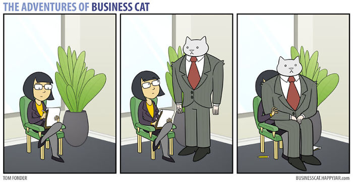 jefe-gato