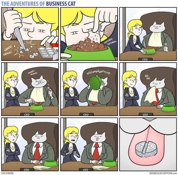 jefe-gato