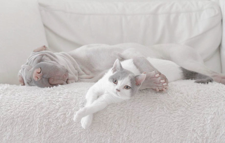 amistad-Instagram