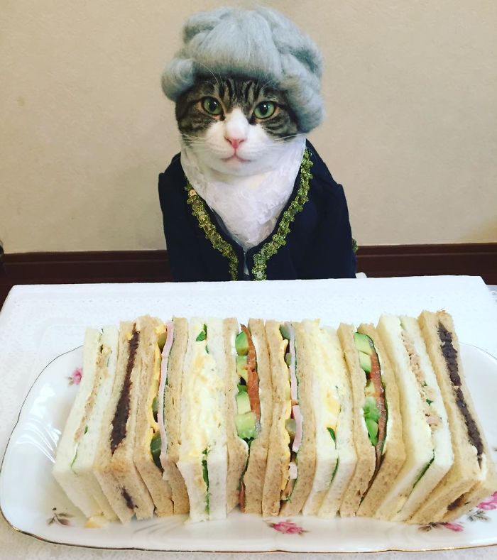 gato-chef