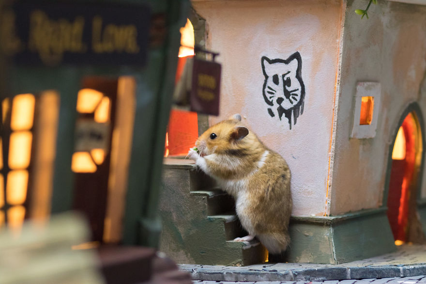 ciudad-miniatura-hamsters