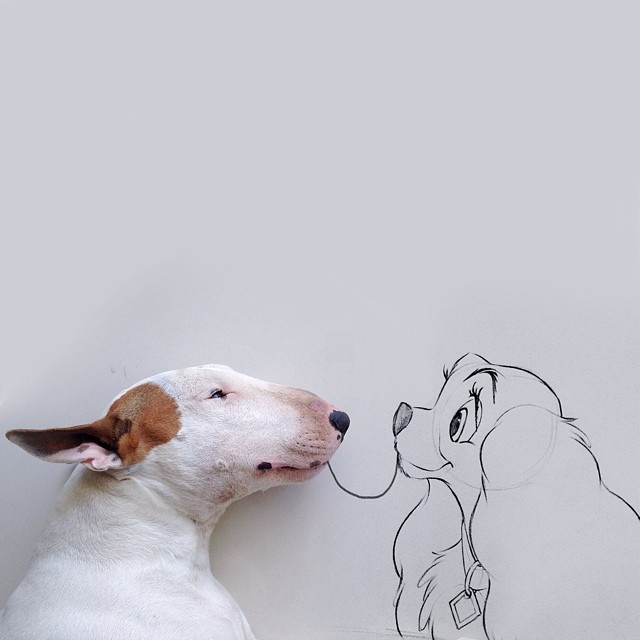 ilustraciones bull terrier 5