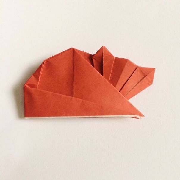 origami 8