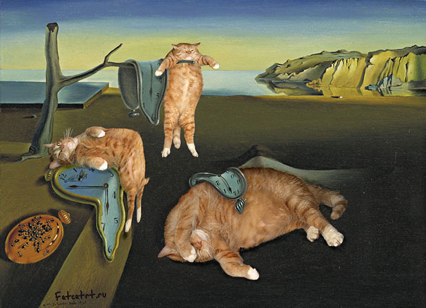 gatos graciosos 38
