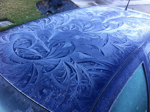 coches congelados 13
