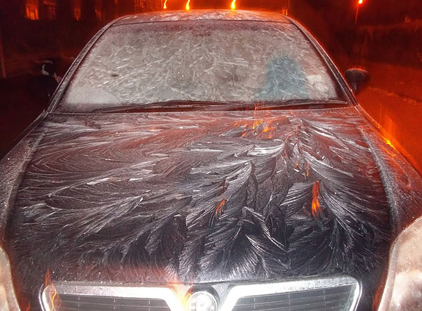 coches congelados 14