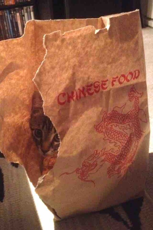 comida china poco hecha