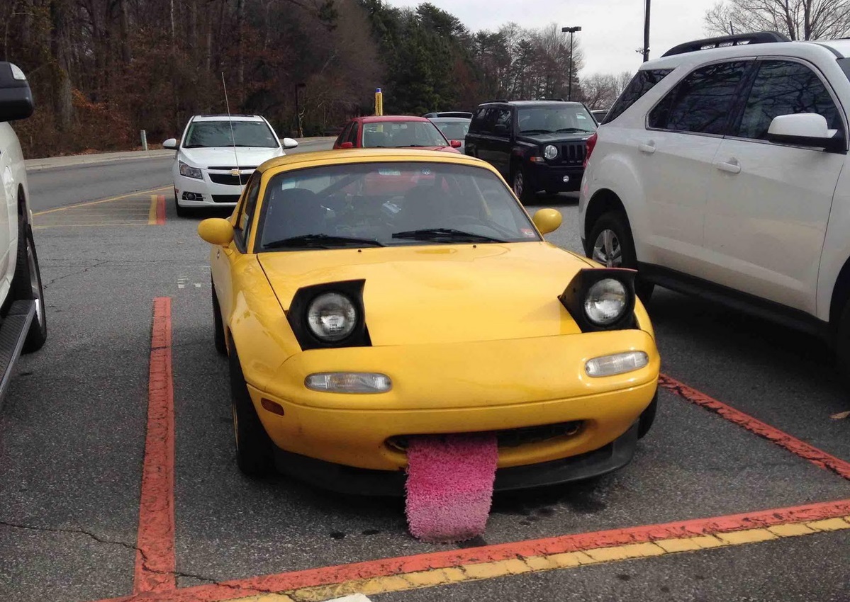coche con lengua