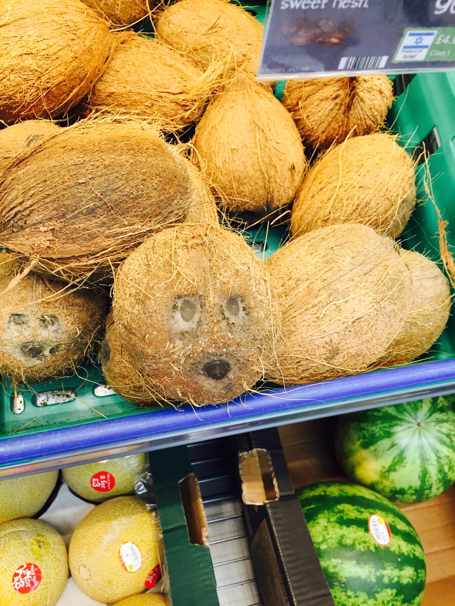 los cocos te vigilan