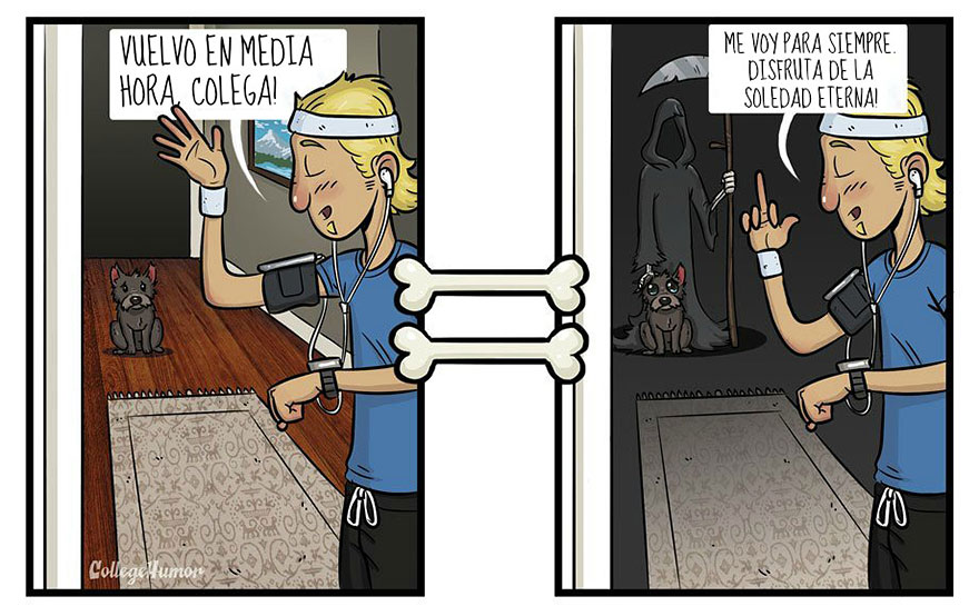 mundo perros 3