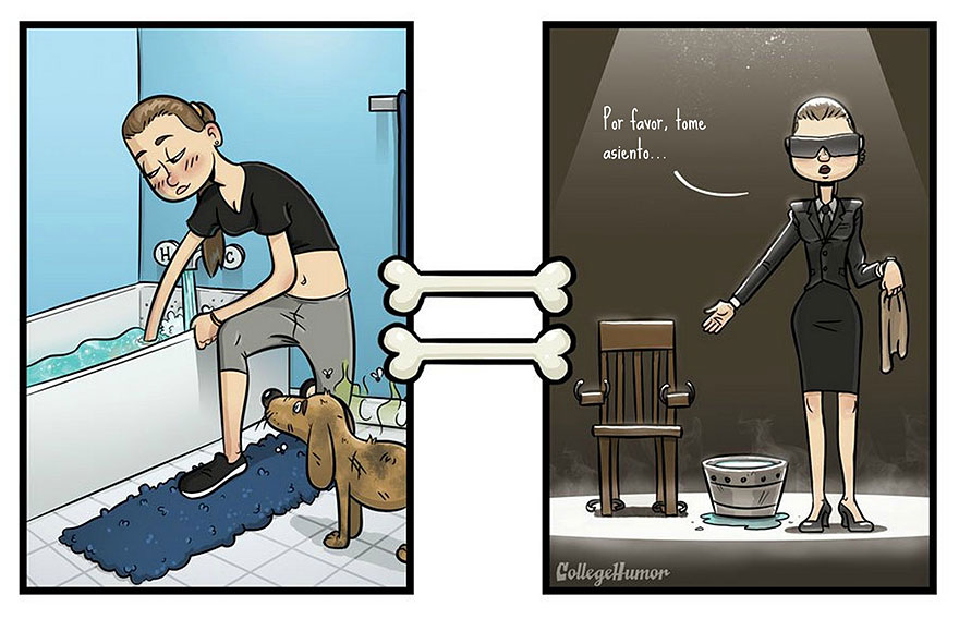 mundo perros 5