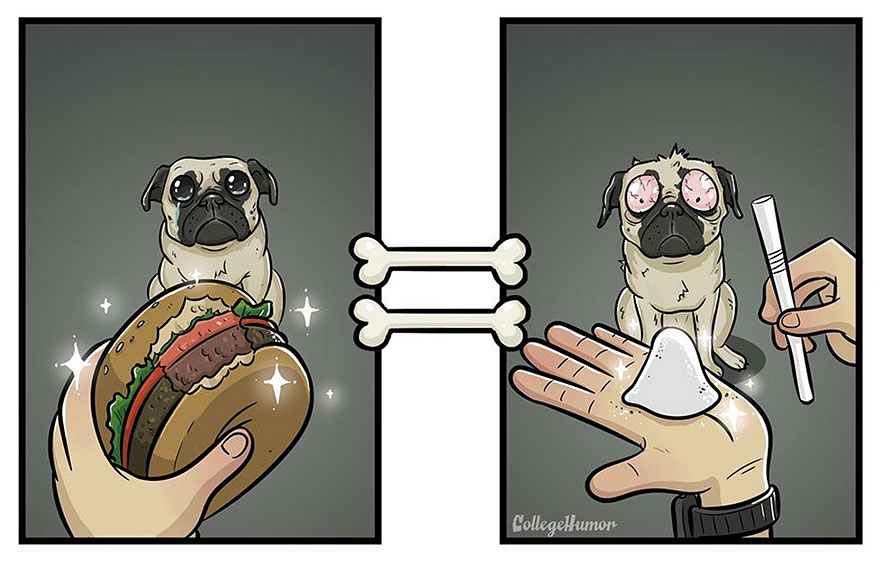 mundo perros 7