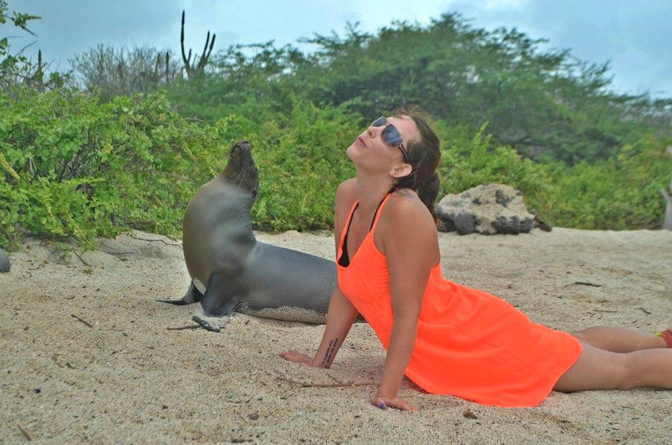 practicando yoga con una foca