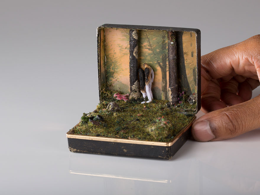 dioramas cajas anillos 10