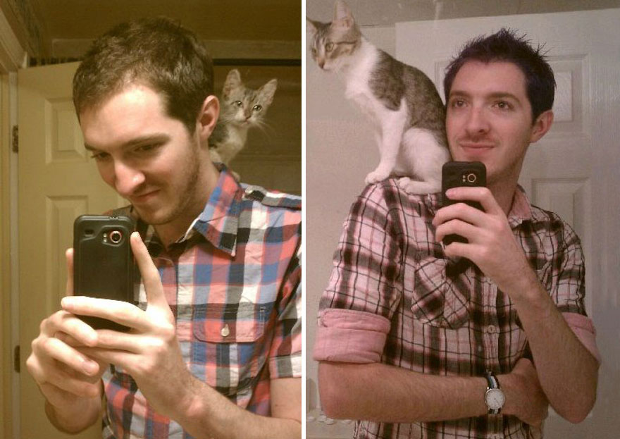 gatos antes y despues 16