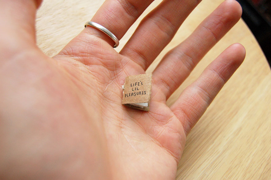 libro en miniatura 10