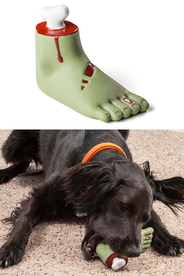 perros graciosos 6