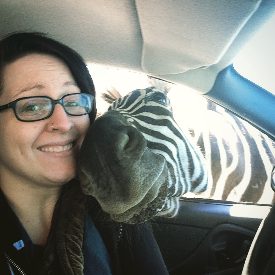 selfie con una zebra
