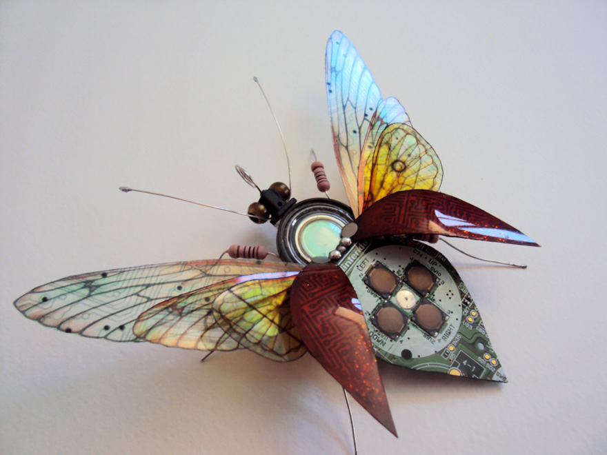 insectos electronicos 10