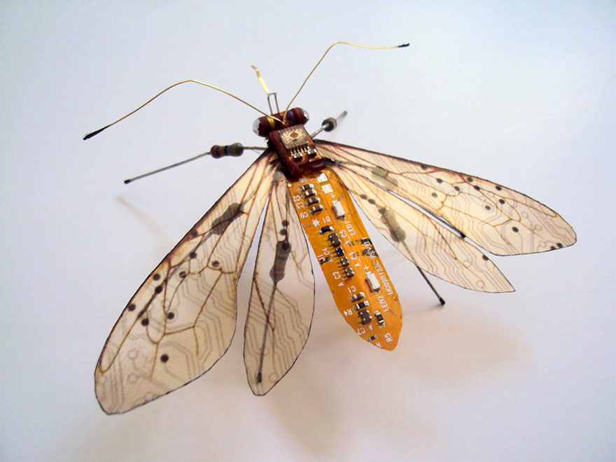 insectos electronicos 12