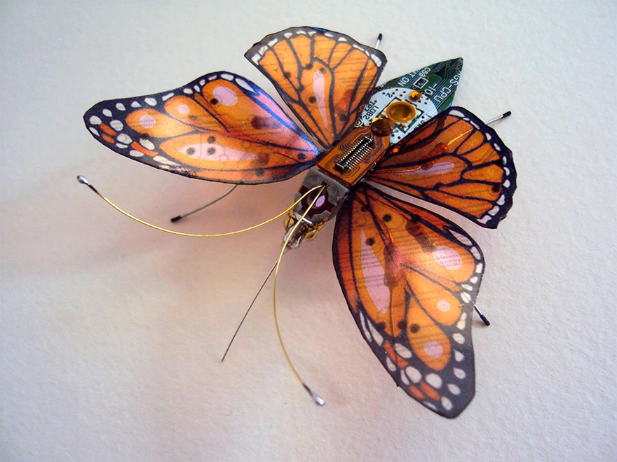 insectos electronicos 13