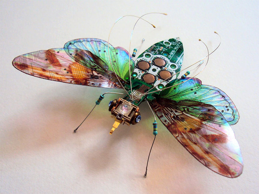 insectos electronicos 15