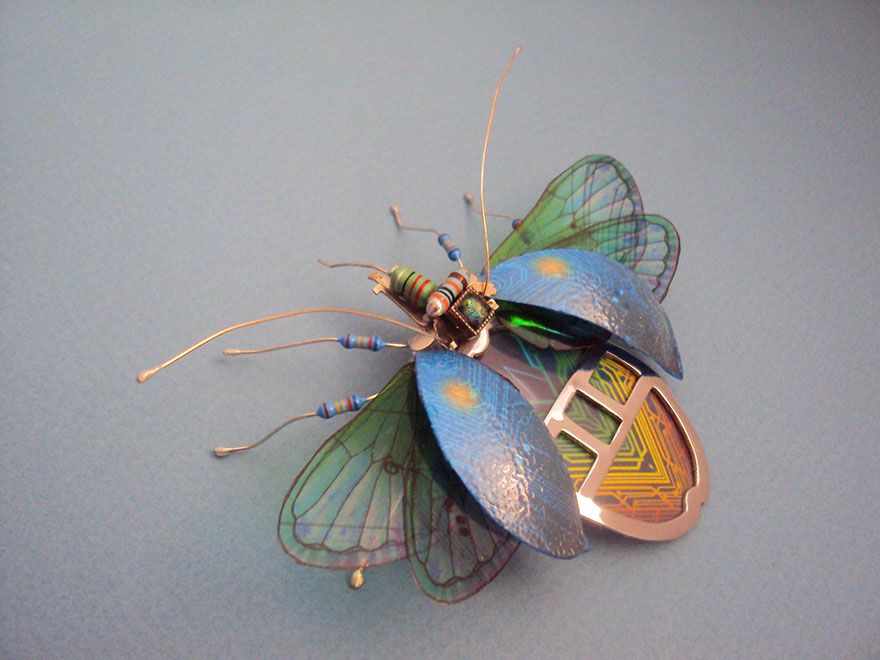 insectos electronicos 16