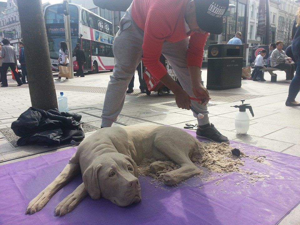 perro de arena