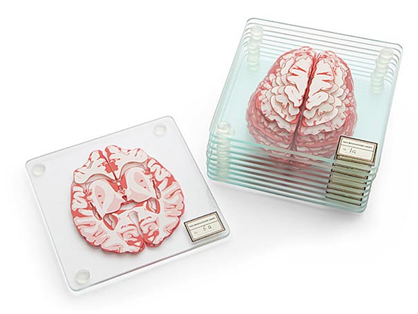 posavasos cerebro