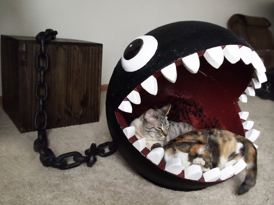 Chompy cama para gato 7