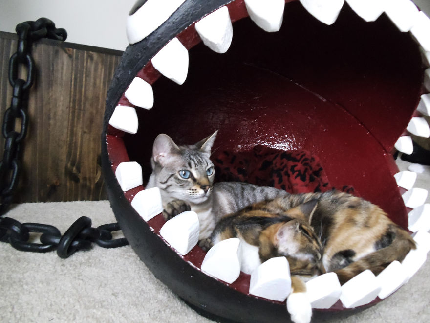 Chompy cama para gato 8