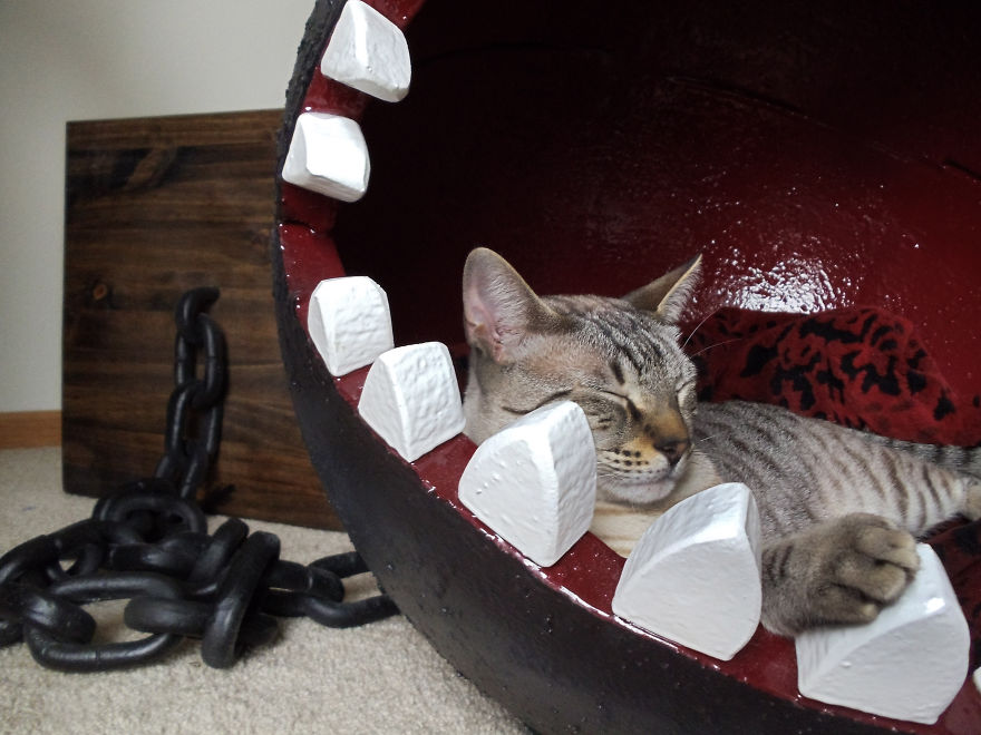 Chompy cama para gato 9