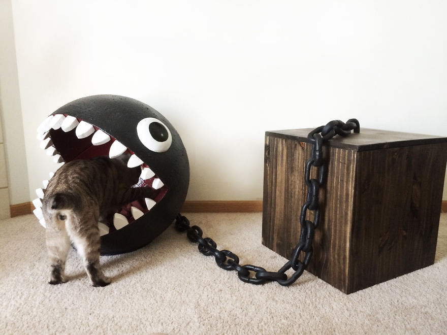 Chompy cama para gato
