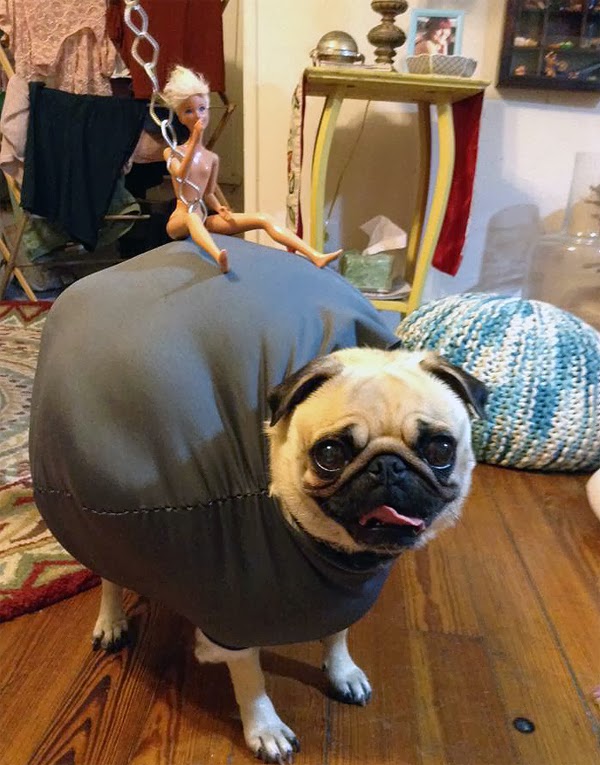 perro wrecking ball