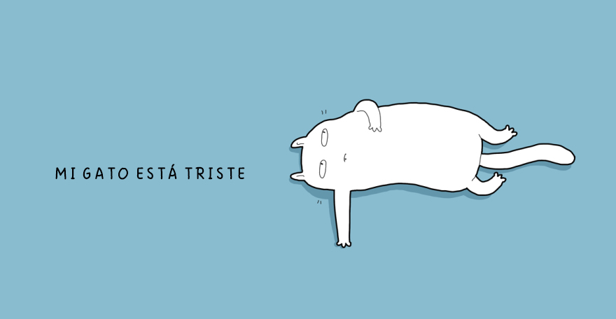 cuando un gato esta triste 1