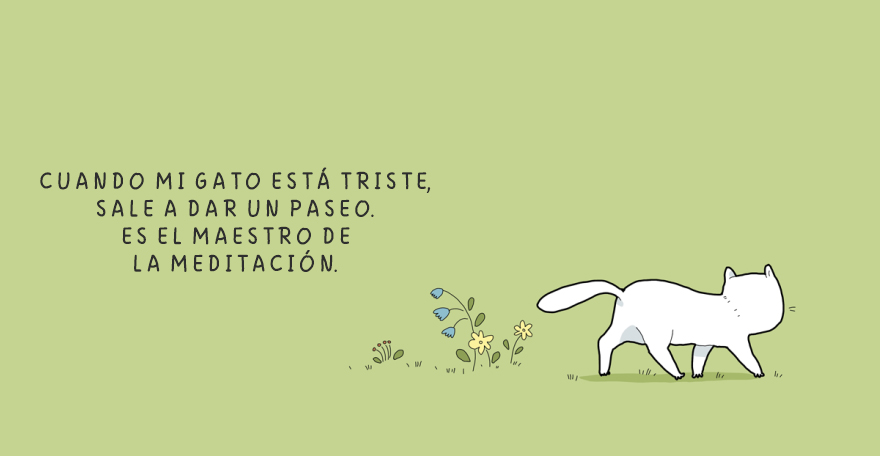cuando un gato esta triste 10