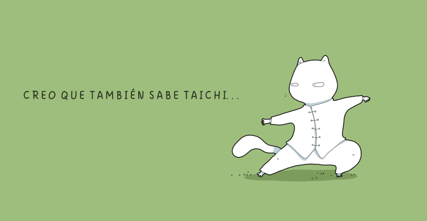 cuando un gato esta triste 11