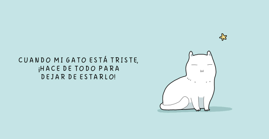 cuando un gato esta triste 12