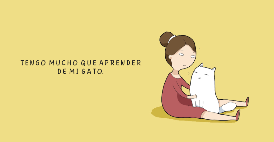 cuando un gato esta triste 13