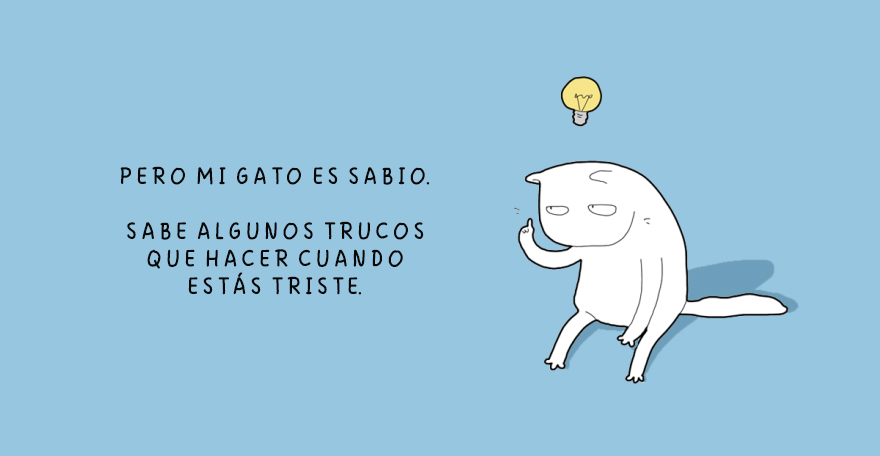 cuando un gato esta triste 3