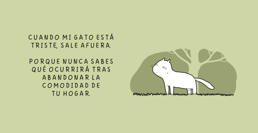 cuando un gato esta triste 4
