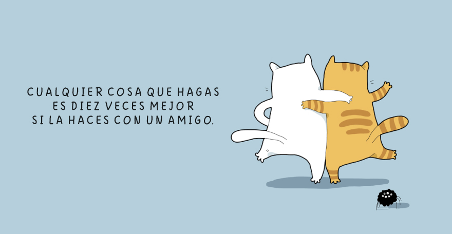 cuando un gato esta triste 8