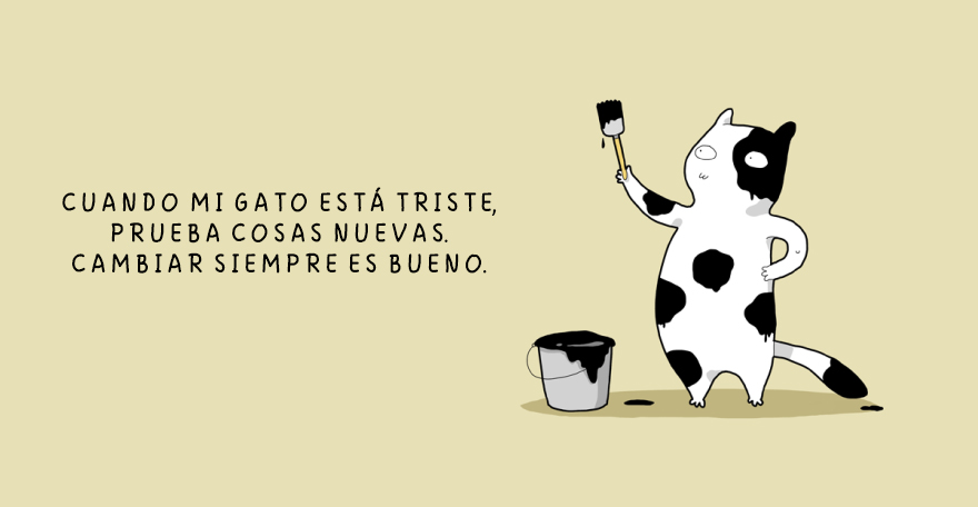 cuando un gato esta triste 9