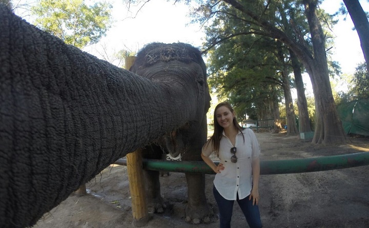 selfie con un elefante