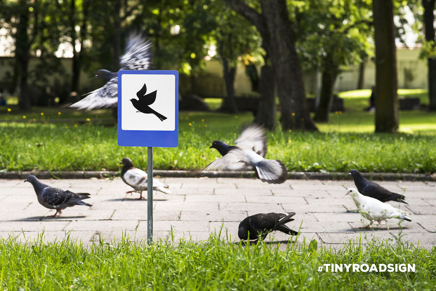 senales trafico animales 4
